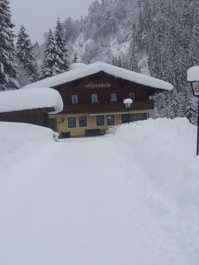 Haus Alpenheim Hotel Flachau Exterior photo